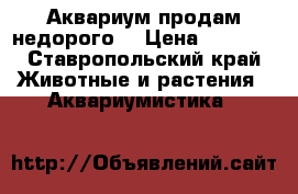 Аквариум продам недорого  › Цена ­ 2 000 - Ставропольский край Животные и растения » Аквариумистика   